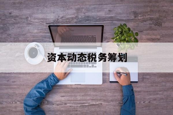 资本动态税务筹划(资本动态税务筹划案例)抚顺市